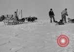 Immagine di L'ammiraglio Byrd Antartico del III spedizione L'Antartide, 1941, secondo 35 filmato di repertorio 65675046681