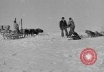 Immagine di L'ammiraglio Byrd Antartico del III spedizione L'Antartide, 1941, secondo 36 filmato di repertorio 65675046681