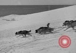 Immagine di L'ammiraglio Byrd Antartico del III spedizione L'Antartide, 1941, secondo 38 filmato di repertorio 65675046681