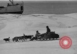 Immagine di L'ammiraglio Byrd Antartico del III spedizione L'Antartide, 1941, secondo 43 filmato di repertorio 65675046681