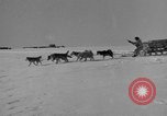 Immagine di L'ammiraglio Byrd Antartico del III spedizione L'Antartide, 1941, secondo 57 filmato di repertorio 65675046681