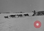 Immagine di L'ammiraglio Byrd Antartico del III spedizione L'Antartide, 1941, secondo 58 filmato di repertorio 65675046681