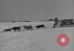 Immagine di L'ammiraglio Byrd Antartico del III spedizione L'Antartide, 1941, secondo 59 filmato di repertorio 65675046681