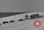 Immagine di L'ammiraglio Byrd Antartico del III spedizione L'Antartide, 1941, secondo 62 filmato di repertorio 65675046681