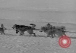 Standbild Aufgabe West Base der Antarktis, 1941, aus Sekunde 30 historischem Filmmaterial Videoclip 65675046682