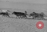 Standbild Aufgabe West Base der Antarktis, 1941, aus Sekunde 31 historischem Filmmaterial Videoclip 65675046682