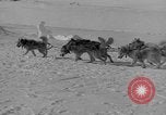 Standbild Aufgabe West Base der Antarktis, 1941, aus Sekunde 32 historischem Filmmaterial Videoclip 65675046682