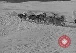 Standbild Aufgabe West Base der Antarktis, 1941, aus Sekunde 36 historischem Filmmaterial Videoclip 65675046682