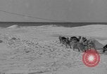 Standbild Aufgabe West Base der Antarktis, 1941, aus Sekunde 39 historischem Filmmaterial Videoclip 65675046682