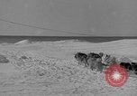 Standbild Aufgabe West Base der Antarktis, 1941, aus Sekunde 40 historischem Filmmaterial Videoclip 65675046682