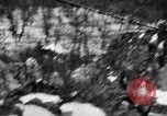 Immagine di Parco Nazionale di Shenandoah Virginia United States USA, 1935, secondo 1 filmato di repertorio 65675046684
