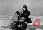 Immagine di Parco Nazionale di Shenandoah Virginia United States USA, 1935, secondo 34 filmato di repertorio 65675046684