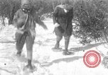 Immagine di Parco Nazionale di Shenandoah Virginia United States USA, 1935, secondo 41 filmato di repertorio 65675046684