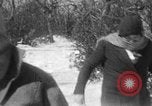 Immagine di Parco Nazionale di Shenandoah Virginia United States USA, 1935, secondo 43 filmato di repertorio 65675046684
