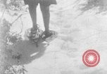 Immagine di Parco Nazionale di Shenandoah Virginia United States USA, 1935, secondo 44 filmato di repertorio 65675046684