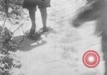Immagine di Parco Nazionale di Shenandoah Virginia United States USA, 1935, secondo 45 filmato di repertorio 65675046684
