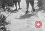 Immagine di Parco Nazionale di Shenandoah Virginia United States USA, 1935, secondo 47 filmato di repertorio 65675046684