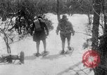 Immagine di Parco Nazionale di Shenandoah Virginia United States USA, 1935, secondo 55 filmato di repertorio 65675046684