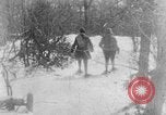 Immagine di Parco Nazionale di Shenandoah Virginia United States USA, 1935, secondo 58 filmato di repertorio 65675046684