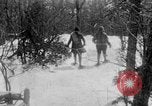 Immagine di Parco Nazionale di Shenandoah Virginia United States USA, 1935, secondo 59 filmato di repertorio 65675046684