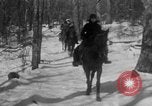 Image of early views of newly founded Shenandoah National Park Virginia United States USA, 1935, second 7 stock footage video 65675046685