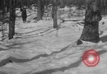 Image of early views of newly founded Shenandoah National Park Virginia United States USA, 1935, second 20 stock footage video 65675046685