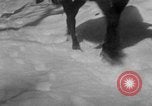 Image of early views of newly founded Shenandoah National Park Virginia United States USA, 1935, second 28 stock footage video 65675046685