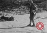 Image of Shenandoah National Park Virginia United States USA, 1935, second 6 stock footage video 65675046686