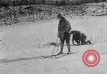 Image of Shenandoah National Park Virginia United States USA, 1935, second 29 stock footage video 65675046686