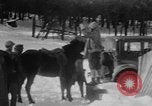Image of Shenandoah National Park Virginia United States USA, 1935, second 56 stock footage video 65675046686
