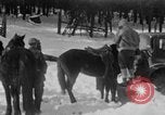 Image of Shenandoah National Park Virginia United States USA, 1935, second 57 stock footage video 65675046686