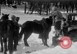 Image of Shenandoah National Park Virginia United States USA, 1935, second 58 stock footage video 65675046686
