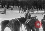 Image of Shenandoah National Park Virginia United States USA, 1935, second 61 stock footage video 65675046686