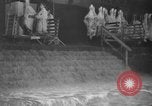 Standbild Brand bei Fleisch Anlage Chicago Illinois USA, 1937, aus Sekunde 32 historischem Filmmaterial Videoclip 65675046691
