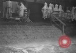 Standbild Brand bei Fleisch Anlage Chicago Illinois USA, 1937, aus Sekunde 33 historischem Filmmaterial Videoclip 65675046691