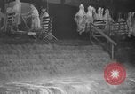 Standbild Brand bei Fleisch Anlage Chicago Illinois USA, 1937, aus Sekunde 34 historischem Filmmaterial Videoclip 65675046691