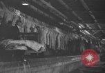 Standbild Brand bei Fleisch Anlage Chicago Illinois USA, 1937, aus Sekunde 40 historischem Filmmaterial Videoclip 65675046691