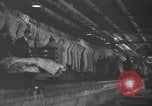 Standbild Brand bei Fleisch Anlage Chicago Illinois USA, 1937, aus Sekunde 41 historischem Filmmaterial Videoclip 65675046691