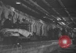 Standbild Brand bei Fleisch Anlage Chicago Illinois USA, 1937, aus Sekunde 42 historischem Filmmaterial Videoclip 65675046691