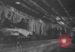 Standbild Brand bei Fleisch Anlage Chicago Illinois USA, 1937, aus Sekunde 43 historischem Filmmaterial Videoclip 65675046691