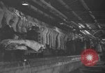 Standbild Brand bei Fleisch Anlage Chicago Illinois USA, 1937, aus Sekunde 44 historischem Filmmaterial Videoclip 65675046691