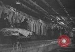 Standbild Brand bei Fleisch Anlage Chicago Illinois USA, 1937, aus Sekunde 45 historischem Filmmaterial Videoclip 65675046691