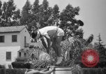 Standbild Georges Suzanne Bel Air California USA, 1937, aus Sekunde 46 historischem Filmmaterial Videoclip 65675046694