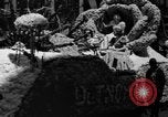Standbild Rosaria pageant und Parade Portland Oregon USA, 1939, aus Sekunde 38 historischem Filmmaterial Videoclip 65675046700