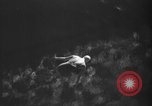 Immagine di I tuffatori olimpici Ruth salto e Marjorie Gestriug Santa Barbara California USA, 1939, secondo 39 filmato di repertorio 65675046702