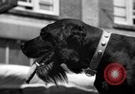 Immagine di Mogli radersi la barba Renton Washington USA, 1939, secondo 41 filmato di repertorio 65675046707
