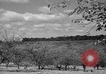 Immagine di Sagra delle ciliegie Traverse City Michigan USA, 1939, secondo 4 filmato di repertorio 65675046712