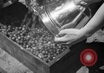 Immagine di Sagra delle ciliegie Traverse City Michigan USA, 1939, secondo 16 filmato di repertorio 65675046712