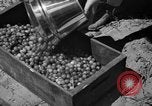 Immagine di Sagra delle ciliegie Traverse City Michigan USA, 1939, secondo 18 filmato di repertorio 65675046712