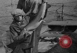 Immagine di Bandiera dell'Inghilterra Omemee Canada, 1939, secondo 12 filmato di repertorio 65675046713